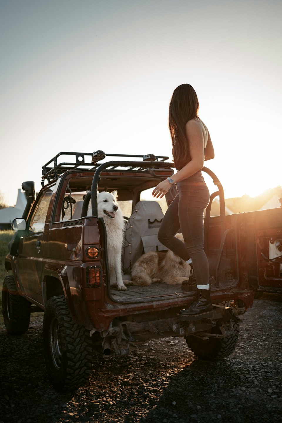 Woman steps into a red vehicle with two fluffy dogs.